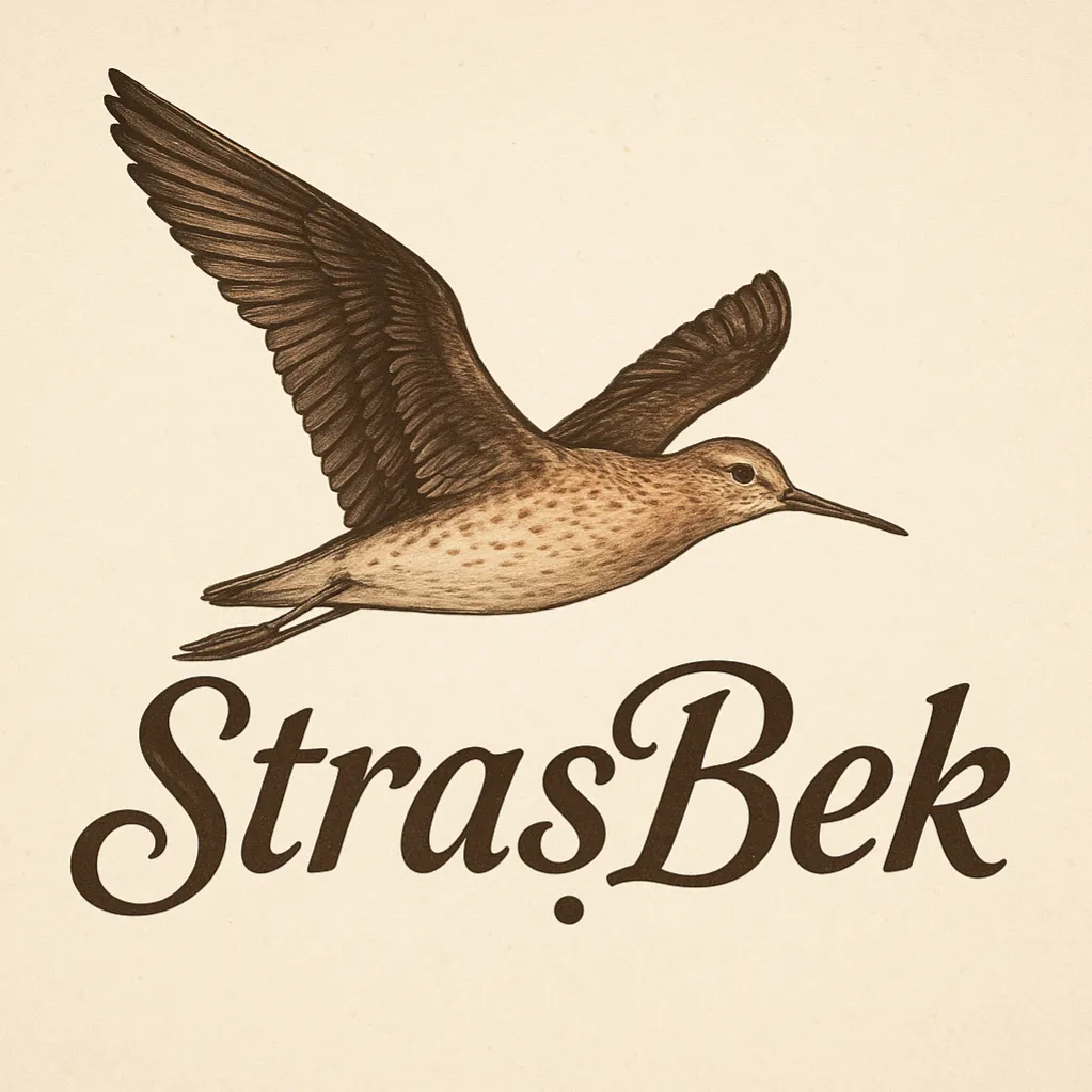 Перелётная птица - StrasBek - Маки